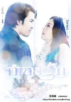 В плену любви 2008