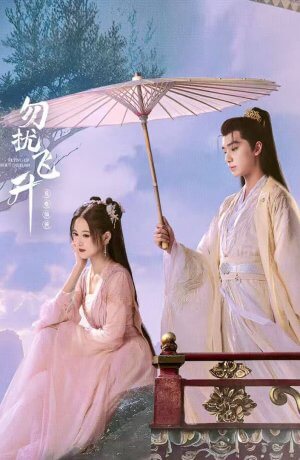 Просьба не мешать вознесению