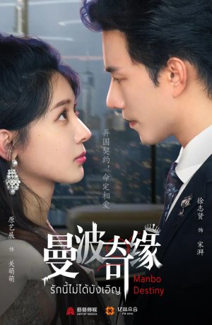 Дневник принцессы